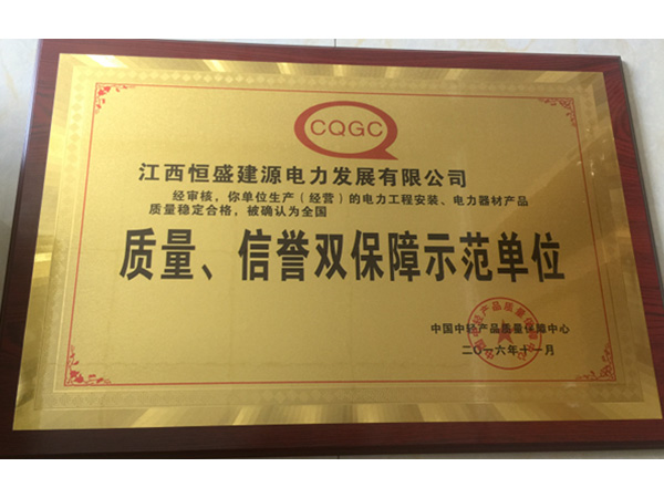 質(zhì)量、信譽(yù)雙保障示范單位
