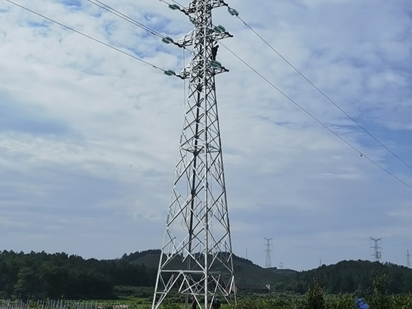 樟樹(shù)鹽化110KV線路工程