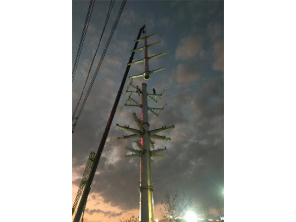 埠頭-高興、埠頭-小山π入南外變110KV線路新建工程